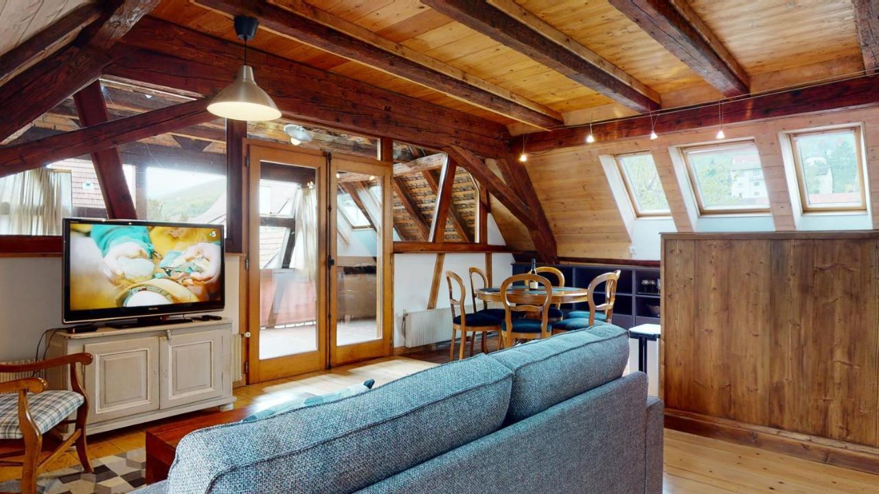 Les Appartements Manala - Turckheim Εξωτερικό φωτογραφία